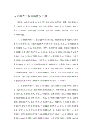 人才振兴工程实施情况汇报 .docx