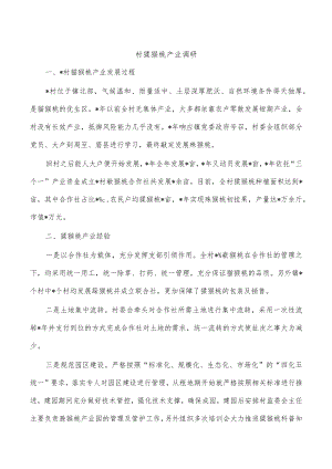 村猕猴桃产业调研.docx
