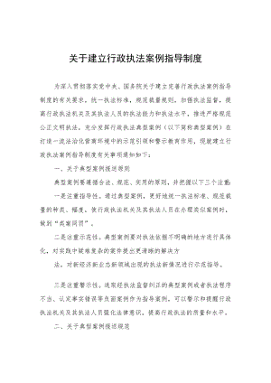 关于建立行政执法案例指导制度.docx