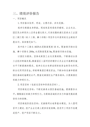 三、绩效评价报告.docx