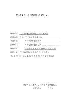 财政支出项目绩效评价报告.docx