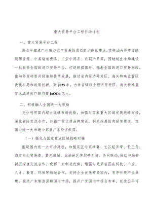 重大贸易平台工程行动计划.docx