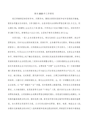商务2023年工作谋划.docx