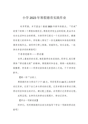小学2023年寒假德育实践作业.docx