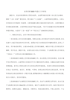 自然资源2023年重点工作谋划.docx