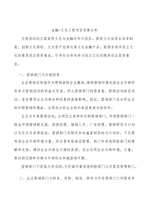 金融+文化工程项目背景分析.docx
