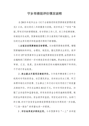 宁乡市绩效评价情况说明.docx