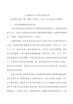 广东强镇兴村工程项目背景分析.docx