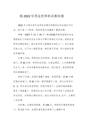 观2022年男足世界杯决赛有感.docx