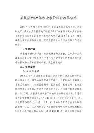 某某县2022年农业水价综合改革总结.docx
