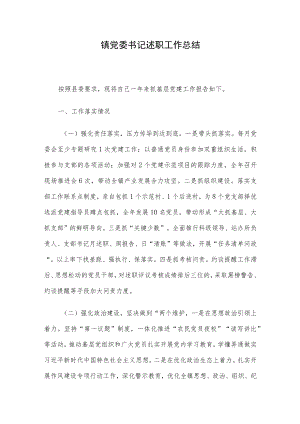 镇党委书记述职工作总结.docx