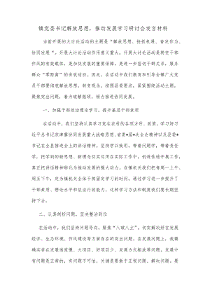 镇党委书记解放思想推动发展学习研讨会发言材料.docx