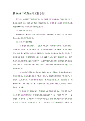 县2022年政务公开工作总结.docx