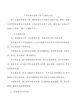 广东米袋子培育工程产业概况分析.docx