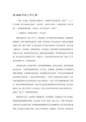 镇2022年底工作汇报.docx