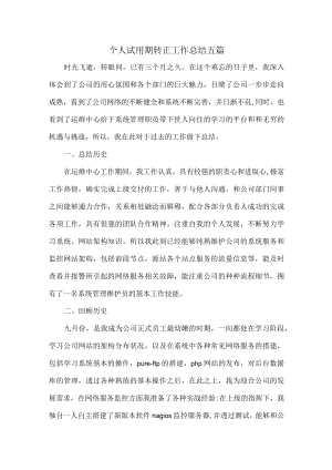 个人试用期转正工作总结五篇.docx