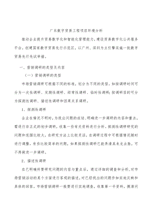 广东数字贸易工程项目环境分析.docx
