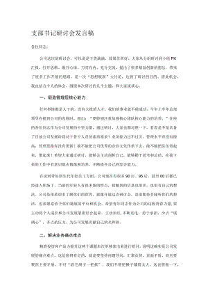 支部书记研讨会发言稿.docx