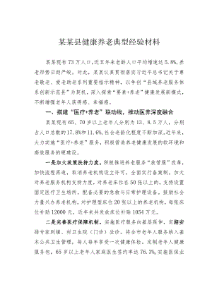 某某县健康养老典型经验材料.docx