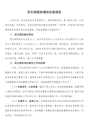 支部提质增效自查报告.docx