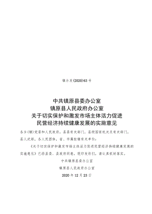 《关于切实保护和激发市场主体活力促进民营经济持续健康发展的实施意见》.docx
