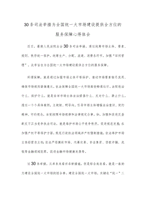 30条司法举措为全国统一大市场建设提供全方位的服务保障心得体会.docx