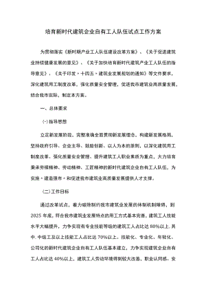 培育新时代建筑企业自有工人队伍试点工作方案.docx