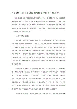 乡2022年防止返贫监测帮扶集中排查工作总结.docx