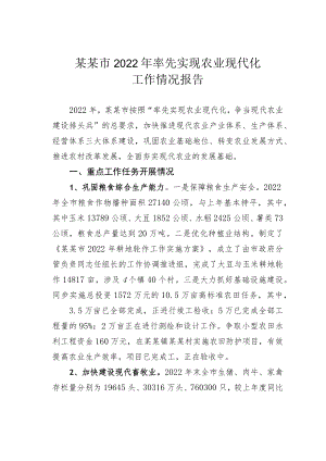某某市2022年率先实现农业现代化工作情况报告.docx