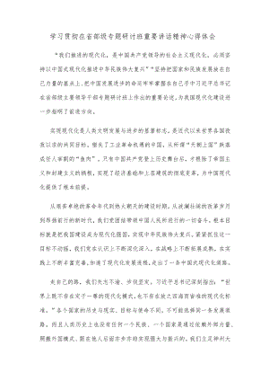 学习贯彻在省部级专题研讨班重要讲话精神心得体会.docx