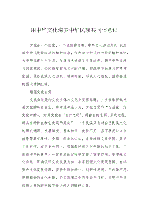 用中华文化滋养中华民族共同体意识.docx