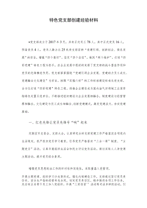 特色党支部创建经验材料.docx