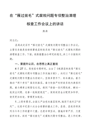 燕涛：在“雁过拔毛”式腐败问题专项整治清理核查工作会议上的讲话.docx