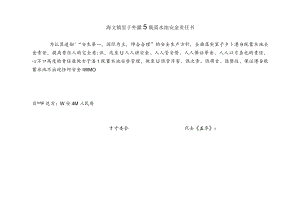 海安镇野外灌溉蓄水池安全责任书.docx