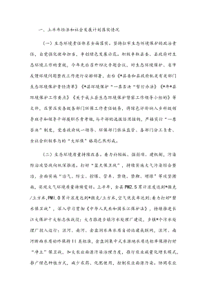 生态环境分局上半年重点落实情况汇报.docx