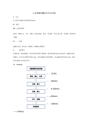 附件5实验项目技术操作步骤简介docx.docx