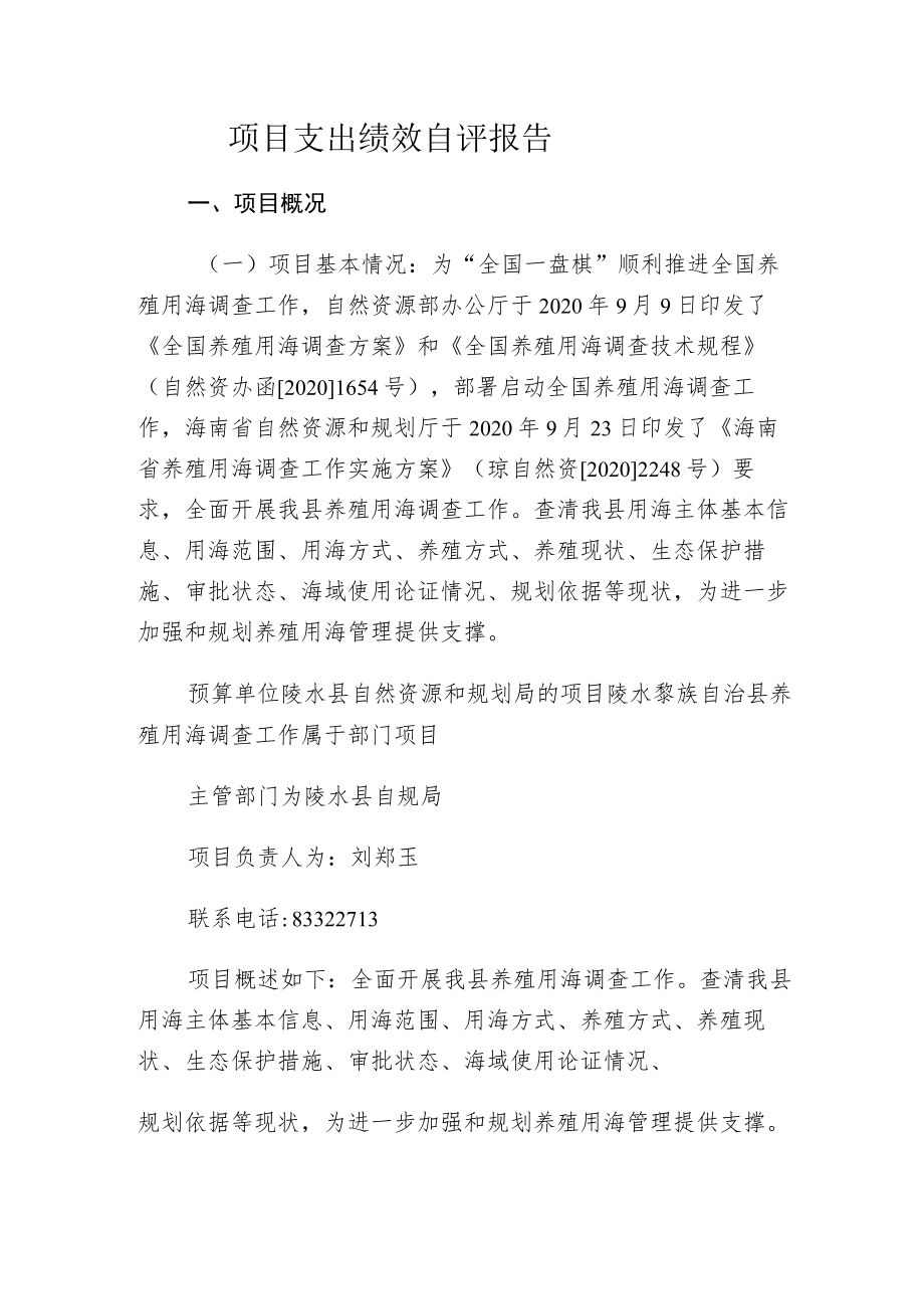 项目支出绩效自评报告.docx_第1页