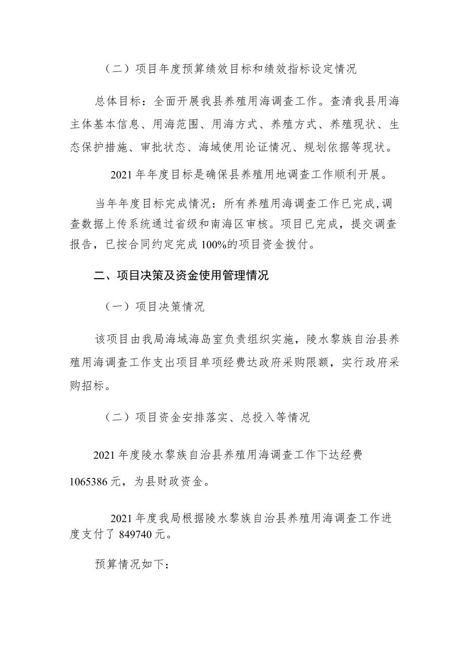 项目支出绩效自评报告.docx_第2页