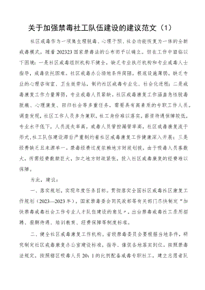 禁毒社会工作者队伍建设工作经验材料建议5篇社工队伍.docx
