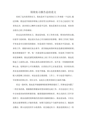顶岗实习报告总结范文.docx