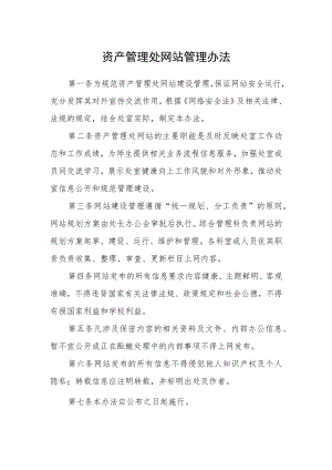 资产管理处网站管理办法.docx