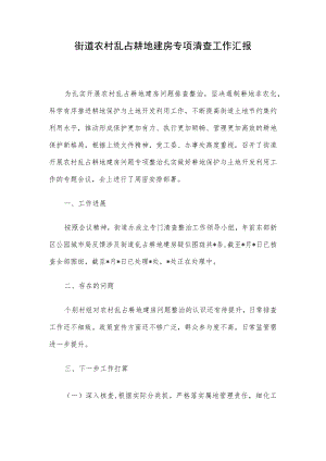 街道农村乱占耕地建房专项清查工作汇报.docx