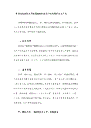 省委巡视反馈某局基层党组织建设存在问题的整改方案.docx