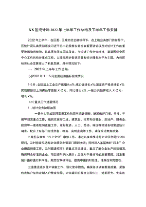 统计局2022年上半年工作总结及下半年工作安排.docx