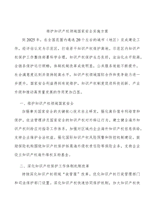维护知识产权领域国家安全实施方案.docx