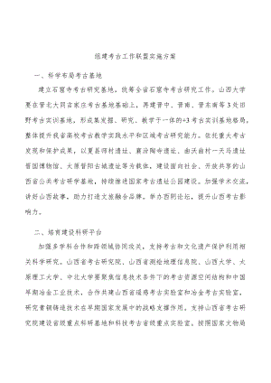 组建考古工作联盟实施方案.docx