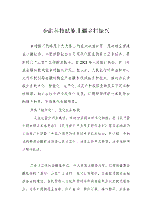 金融科技赋能北疆乡村振兴.docx