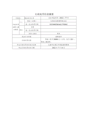 行政处罚信息摘要.docx