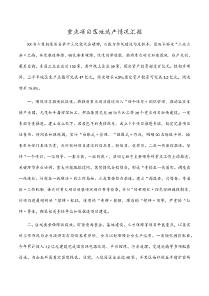 重点项目落地达产情况汇报.docx