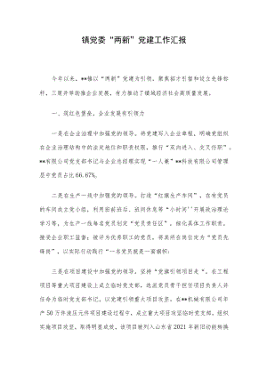镇党委“两新”党建工作汇报.docx